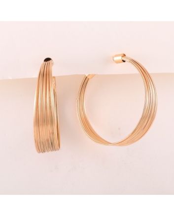 Fashion Hoop Earrings